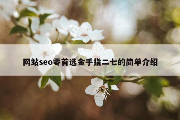 网站seo零首选金手指二七的简单介绍