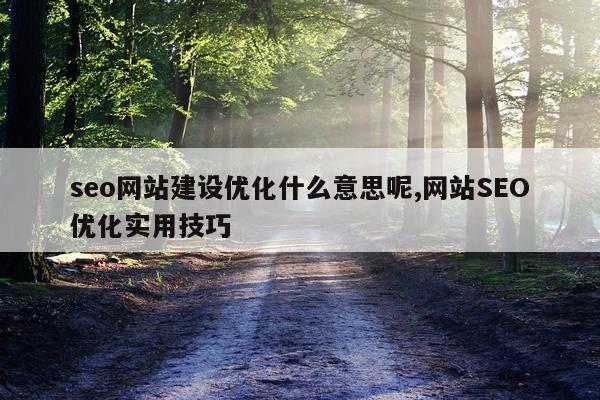 seo网站建设优化什么意思呢,网站SEO优化实用技巧