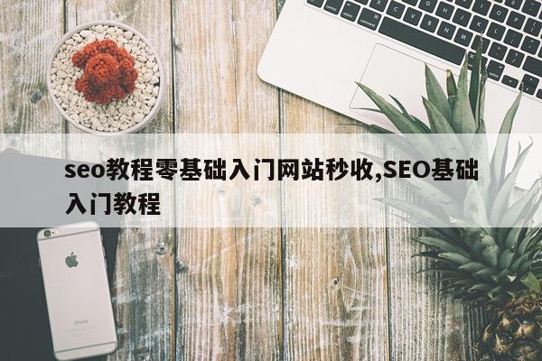 seo教程零基础入门网站秒收,SEO基础入门教程