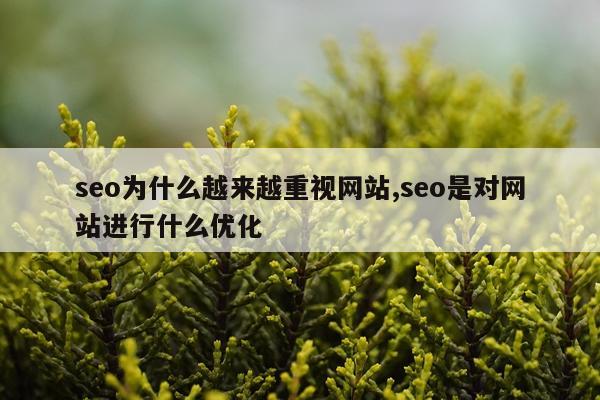 seo为什么越来越重视网站,seo是对网站进行什么优化