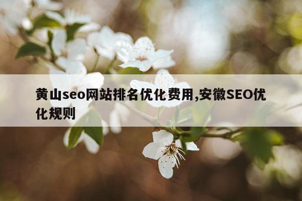 黄山seo网站排名优化费用,安徽SEO优化规则