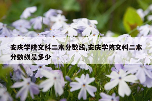 安庆学院文科二本分数线,安庆学院文科二本分数线是多少