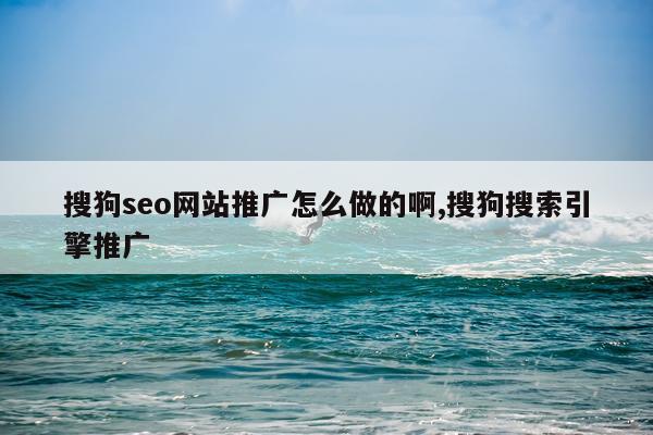 搜狗seo网站推广怎么做的啊,搜狗搜索引擎推广