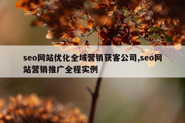 seo网站优化全域营销获客公司,seo网站营销推广全程实例