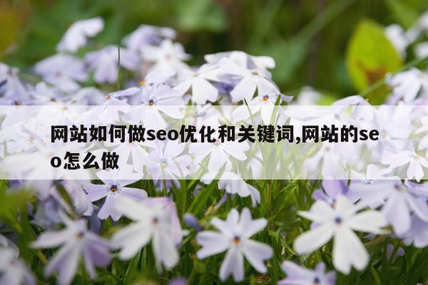 网站如何做seo优化和关键词,网站的seo怎么做