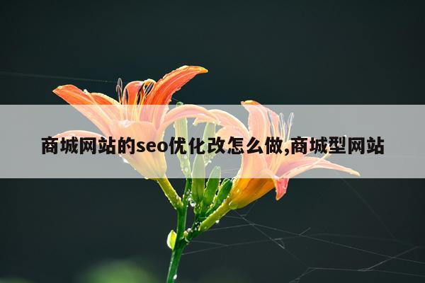 商城网站的seo优化改怎么做,商城型网站
