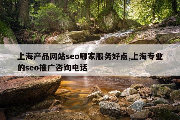 上海产品网站seo哪家服务好点,上海专业的seo推广咨询电话