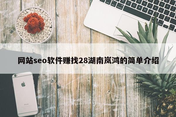 网站seo软件赚找28湖南岚鸿的简单介绍