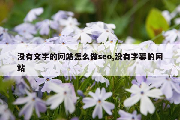 没有文字的网站怎么做seo,没有字幕的网站