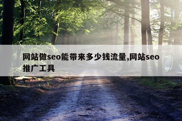 网站做seo能带来多少钱流量,网站seo推广工具
