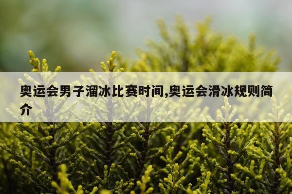 奥运会男子溜冰比赛时间,奥运会滑冰规则简介