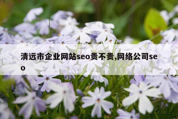 清远市企业网站seo贵不贵,网络公司seo