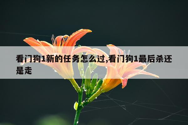 看门狗1新的任务怎么过,看门狗1最后杀还是走