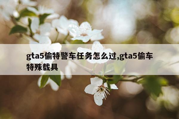 gta5偷特警车任务怎么过,gta5偷车特殊载具