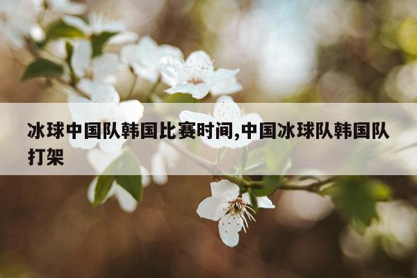 冰球中国队韩国比赛时间,中国冰球队韩国队打架