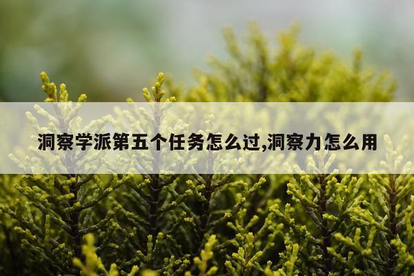 洞察学派第五个任务怎么过,洞察力怎么用