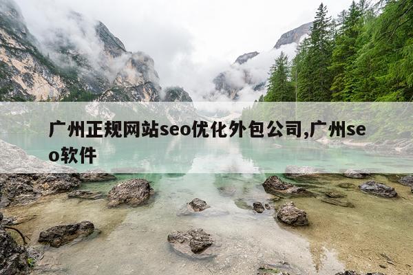 广州正规网站seo优化外包公司,广州seo软件