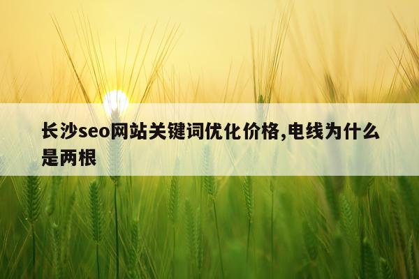 长沙seo网站关键词优化价格,电线为什么是两根