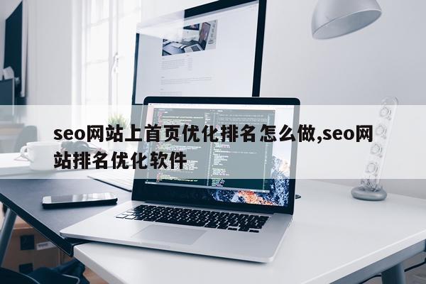 seo网站上首页优化排名怎么做,seo网站排名优化软件