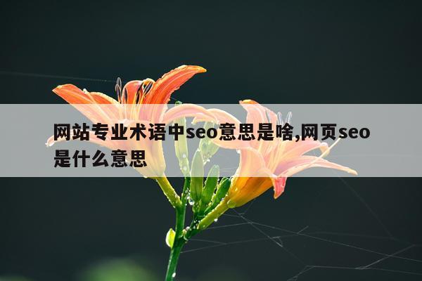 网站专业术语中seo意思是啥,网页seo是什么意思