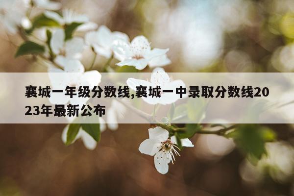 襄城一年级分数线,襄城一中录取分数线2023年最新公布