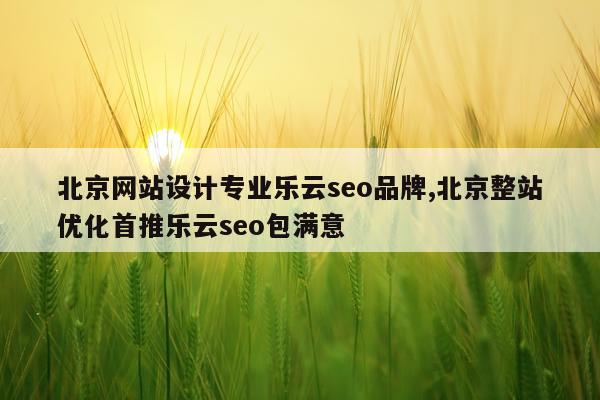 北京网站设计专业乐云seo品牌,北京整站优化首推乐云seo包满意