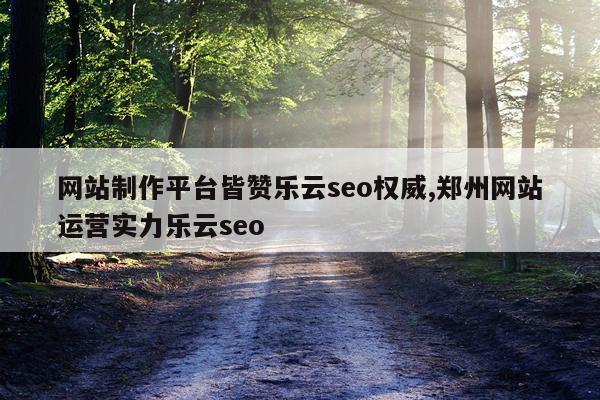 网站制作平台皆赞乐云seo权威,郑州网站运营实力乐云seo