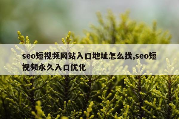 seo短视频网站入口地址怎么找,seo短视频永久入口优化