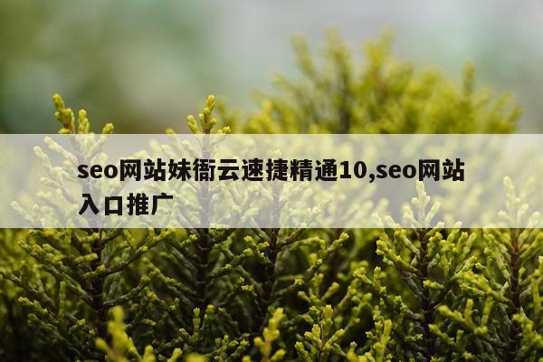 seo网站妹衙云速捷精通10,seo网站入口推广