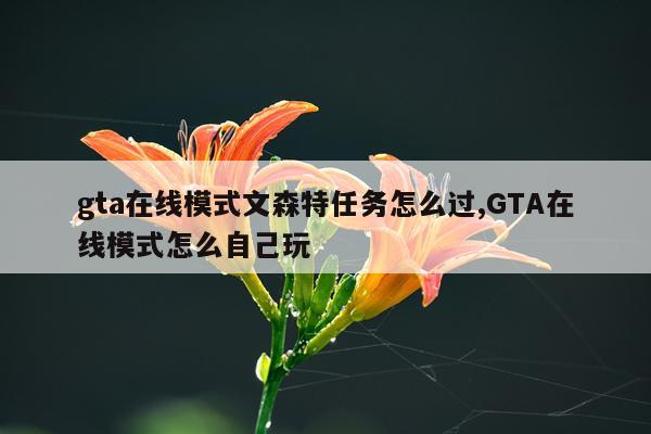 gta在线模式文森特任务怎么过,GTA在线模式怎么自己玩