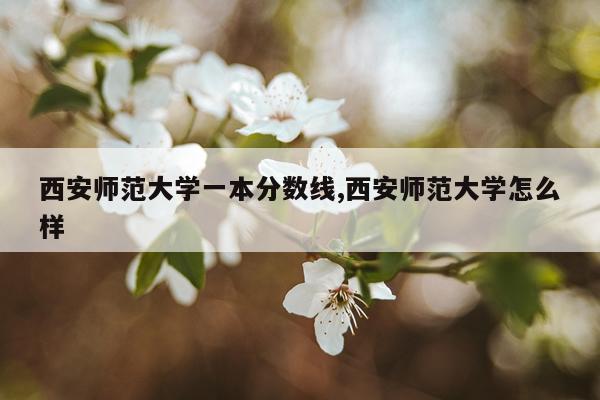 西安师范大学一本分数线,西安师范大学怎么样