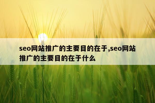 seo网站推广的主要目的在于,seo网站推广的主要目的在于什么