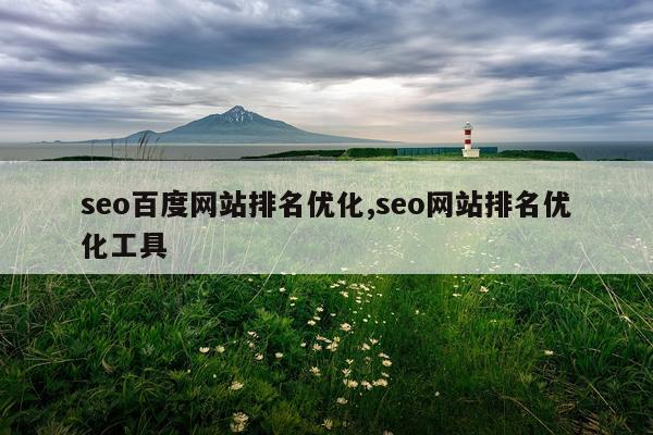seo百度网站排名优化,seo网站排名优化工具
