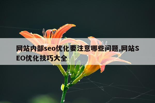 网站内部seo优化要注意哪些问题,网站SEO优化技巧大全