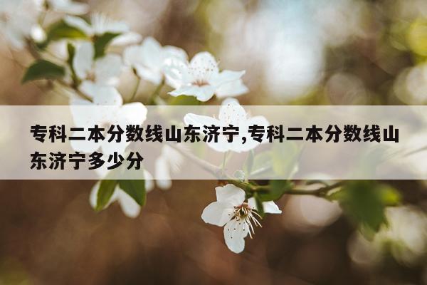 专科二本分数线山东济宁,专科二本分数线山东济宁多少分