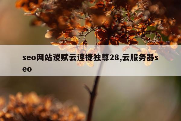 seo网站谡赋云速捷独尊28,云服务器seo