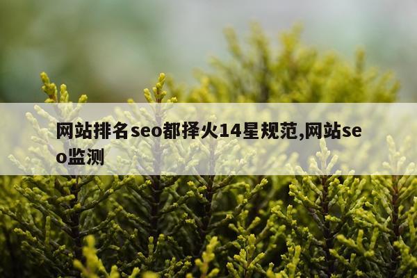 网站排名seo都择火14星规范,网站seo监测