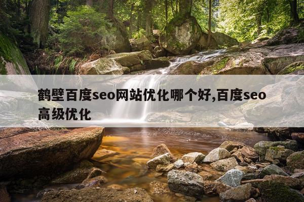 鹤壁百度seo网站优化哪个好,百度seo高级优化