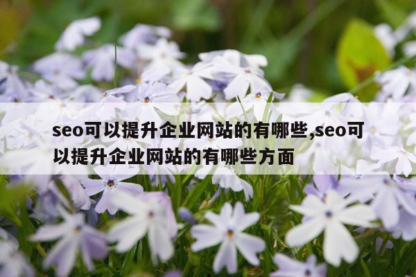 seo可以提升企业网站的有哪些,seo可以提升企业网站的有哪些方面