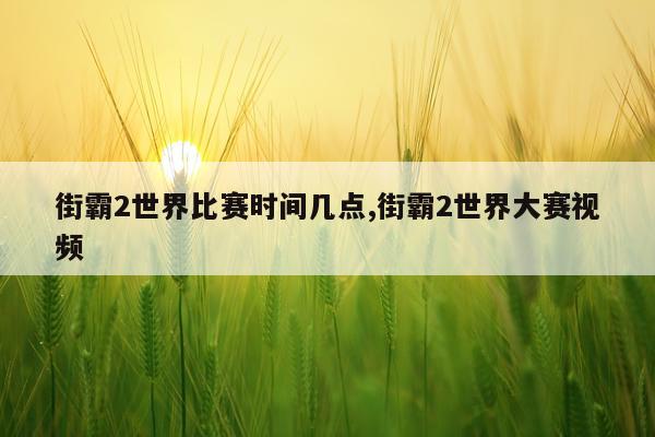 街霸2世界比赛时间几点,街霸2世界大赛视频