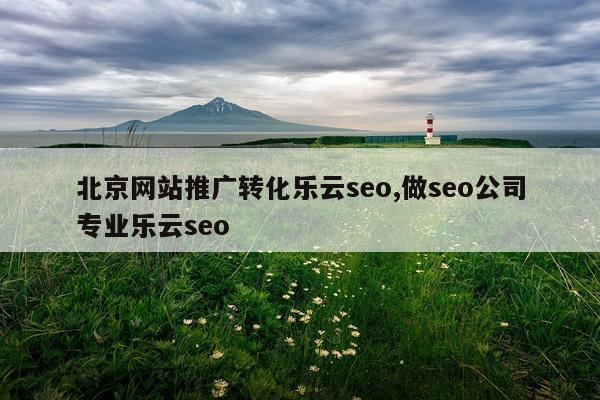 北京网站推广转化乐云seo,做seo公司专业乐云seo