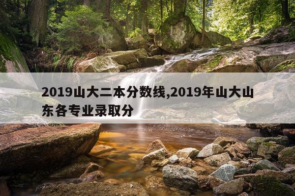 2019山大二本分数线,2019年山大山东各专业录取分