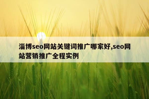 淄博seo网站关键词推广哪家好,seo网站营销推广全程实例