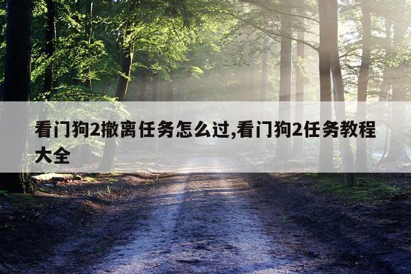 看门狗2撤离任务怎么过,看门狗2任务教程大全