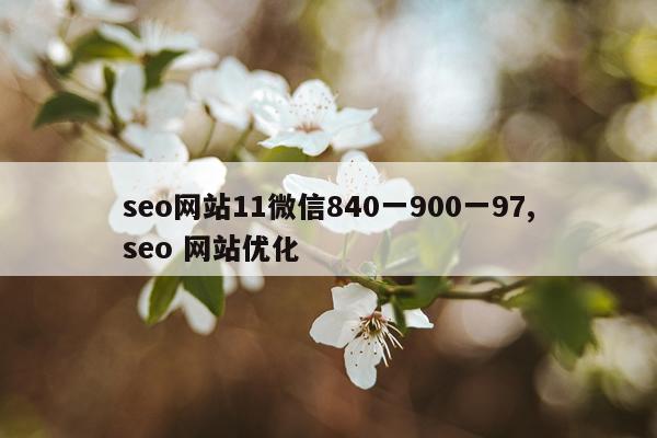 seo网站11微信840一900一97,seo 网站优化