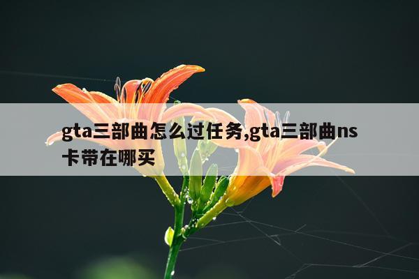 gta三部曲怎么过任务,gta三部曲ns卡带在哪买